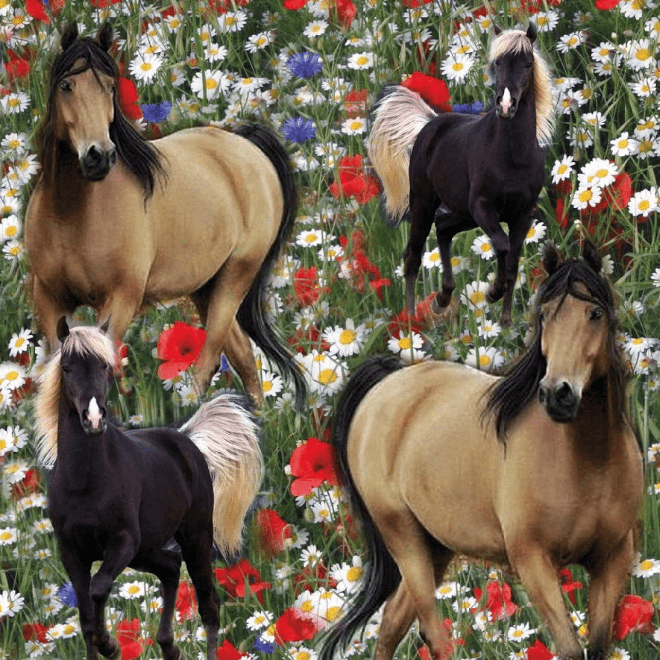 Paarden bloemenweide